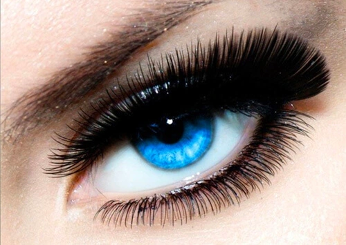 Complete Lash Technician Online & Offline Course