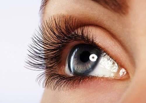 Iolite-eyelash-perming-and-tinting-course