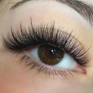 cat eye cluster lashes with outer corner lift