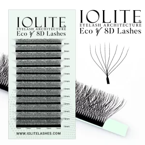 W lashes